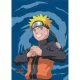 Naruto polár pléd