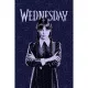 Wednesday polár pléd