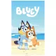 Bluey kéztörlő pamut 30x50 cm